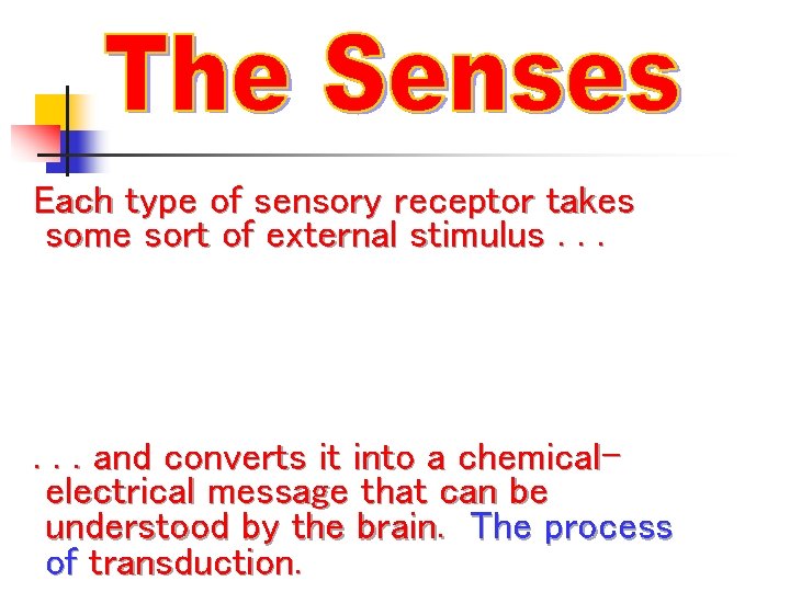 Each type of sensory receptor takes some sort of external stimulus. . . and