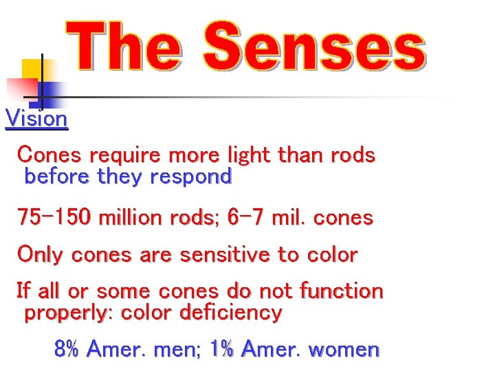Vision Cones require more light than rods before they respond 75 -150 million rods;