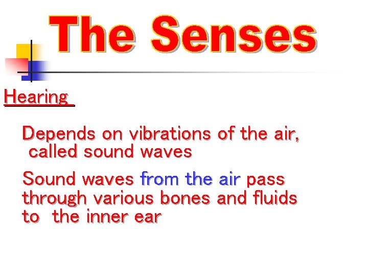 Hearing Depends on vibrations of the air, called sound waves Sound waves from the