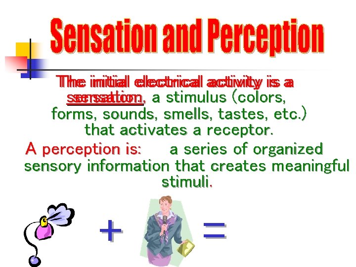 The initial electrical activity is is aa sensation: , a stimulus (colors, forms, sounds,