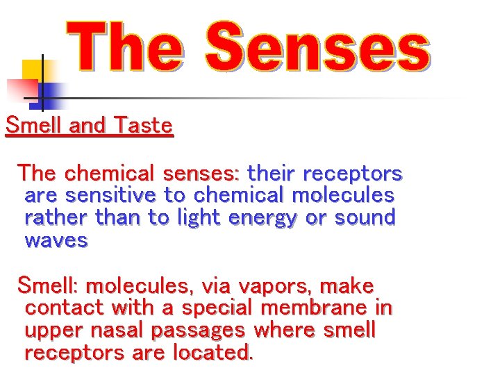 Smell and Taste The chemical senses: their receptors are sensitive to chemical molecules rather