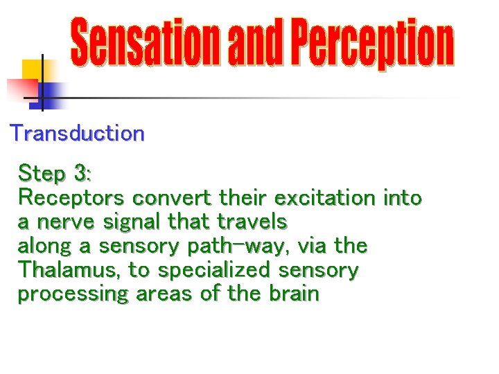 Transduction Step 3: Receptors convert their excitation into a nerve signal that travels along