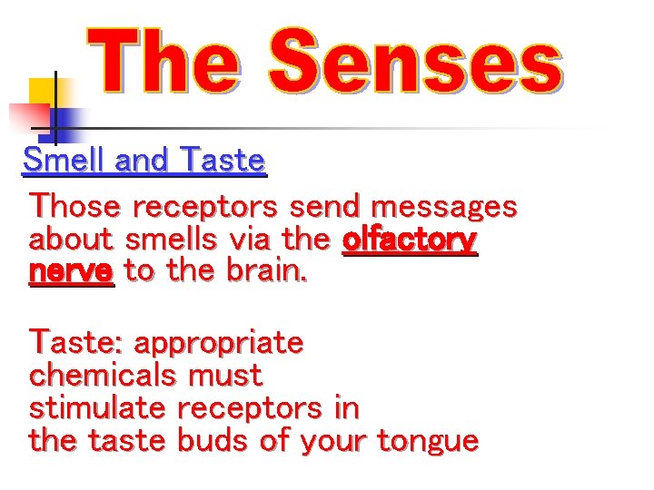 Smell and Taste Those receptors send messages about smells via the olfactory nerve to