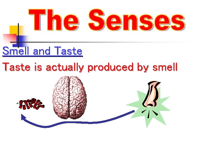 Smell and Taste is actually produced by smell 