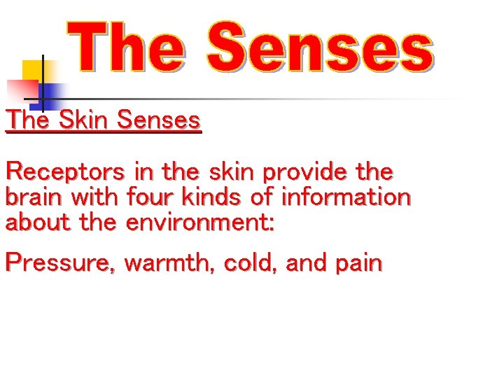 The Skin Senses Receptors in the skin provide the brain with four kinds of