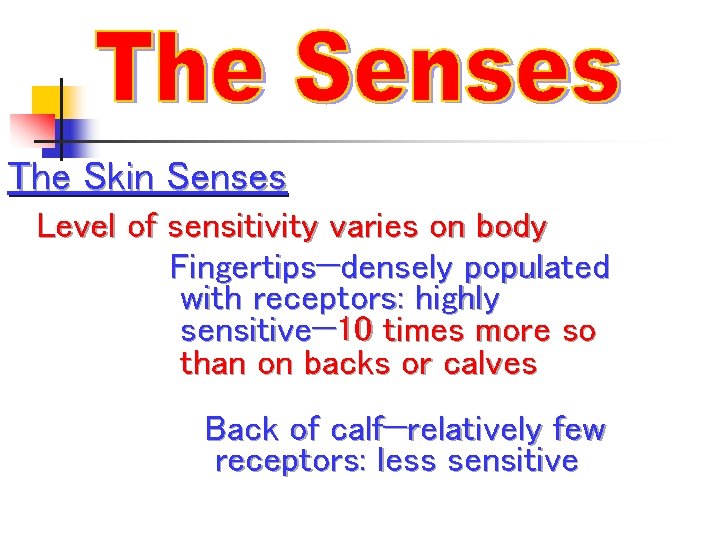 The Skin Senses Level of sensitivity varies on body Fingertips—densely populated with receptors: highly