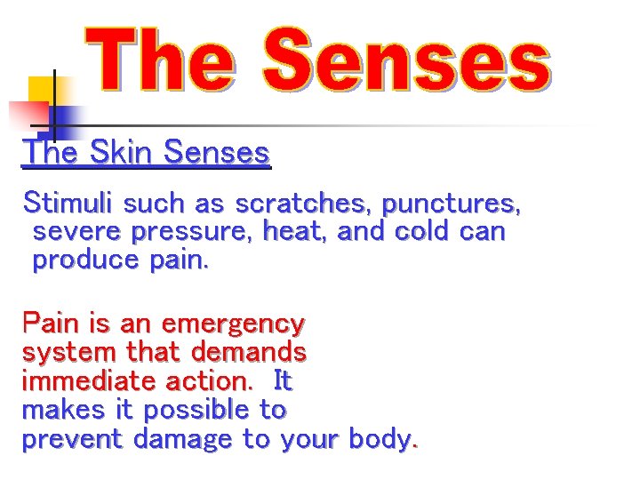 The Skin Senses Stimuli such as scratches, punctures, severe pressure, heat, and cold can