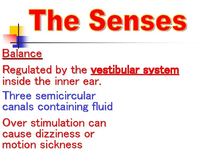 Balance Regulated by the vestibular system inside the inner ear. Three semicircular canals containing