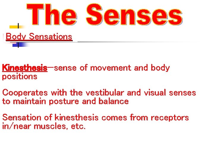 Body Sensations Kinesthesis—sense of movement and body positions Cooperates with the vestibular and visual