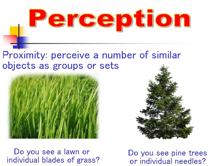 Proximity: perceive a number of similar objects as groups or sets Do you see