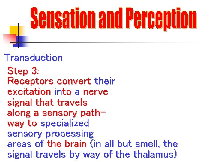 Transduction Step 3: Receptors convert their excitation into a nerve signal that travels along