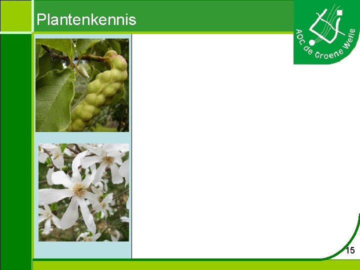 Plantenkennis 15 