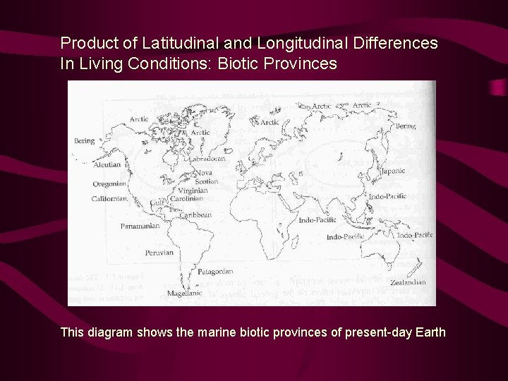 Product of Latitudinal and Longitudinal Differences In Living Conditions: Biotic Provinces This diagram shows
