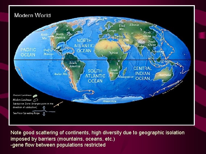 Note good scattering of continents, high diversity due to geographic isolation imposed by barriers