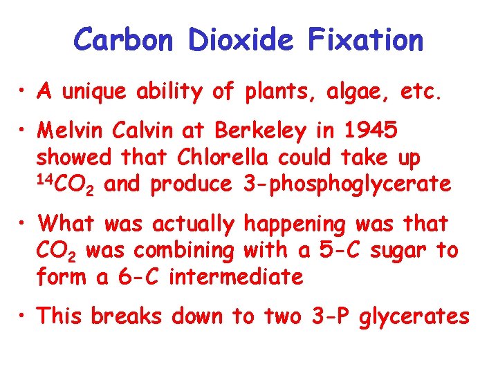 Carbon Fixation dark reactions Carbon Dioxide Fixation A