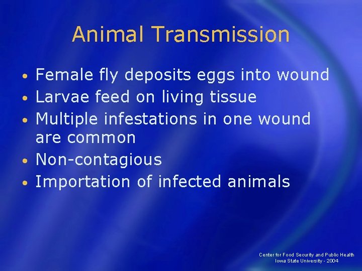 Animal Transmission • • • Female fly deposits eggs into wound Larvae feed on