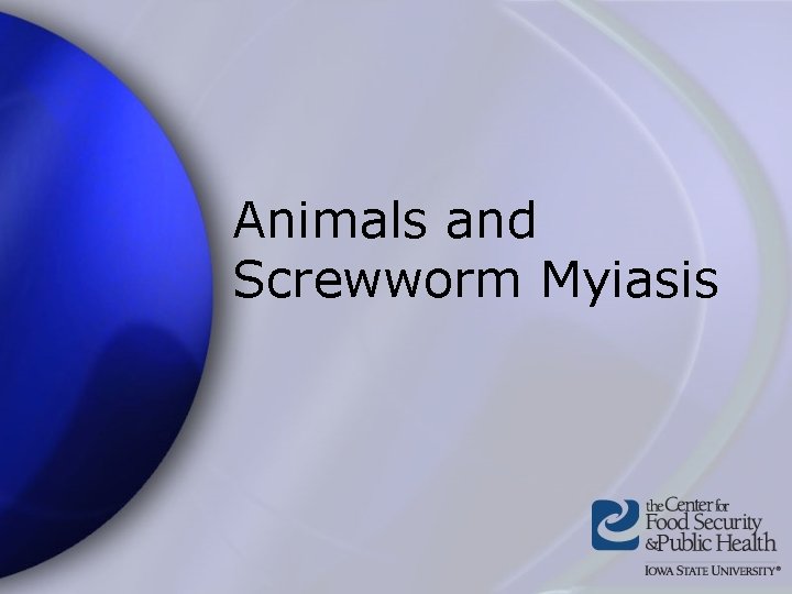 Animals and Screwworm Myiasis 