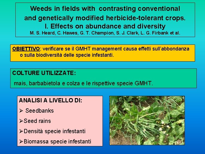 Weeds in fields with contrasting conventional and genetically modified herbicide-tolerant crops. I. Effects on