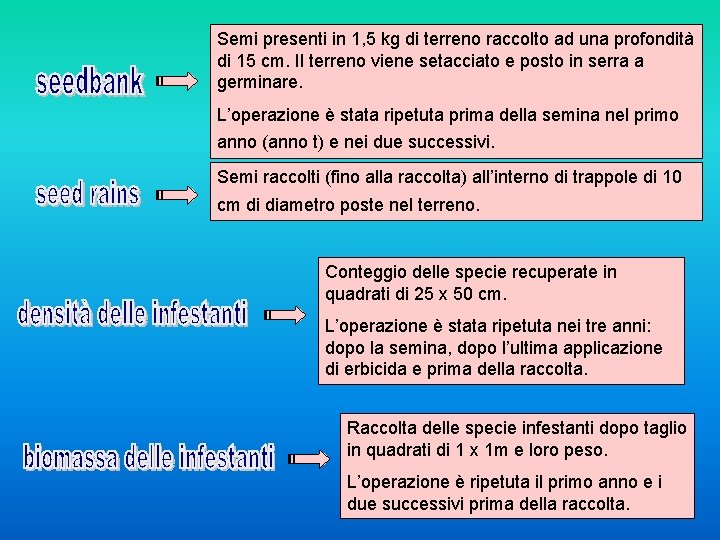 Semi presenti in 1, 5 kg di terreno raccolto ad una profondità di 15