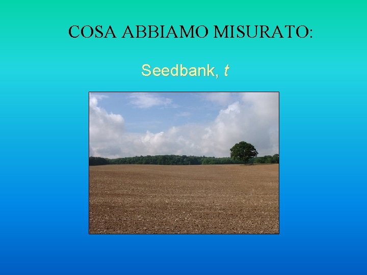 COSA ABBIAMO MISURATO: Seedbank, t 