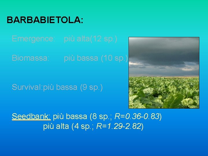 BARBABIETOLA: Emergence: più alta(12 sp. ) Biomassa: più bassa (10 sp. ) Survival: più