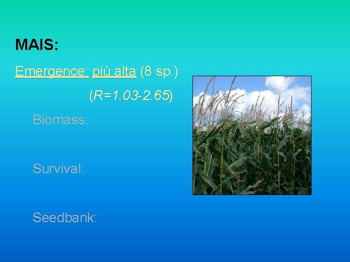 MAIS: Emergence: più alta (8 sp. ) (R=1. 03 -2. 65) Biomass: Survival: Seedbank: