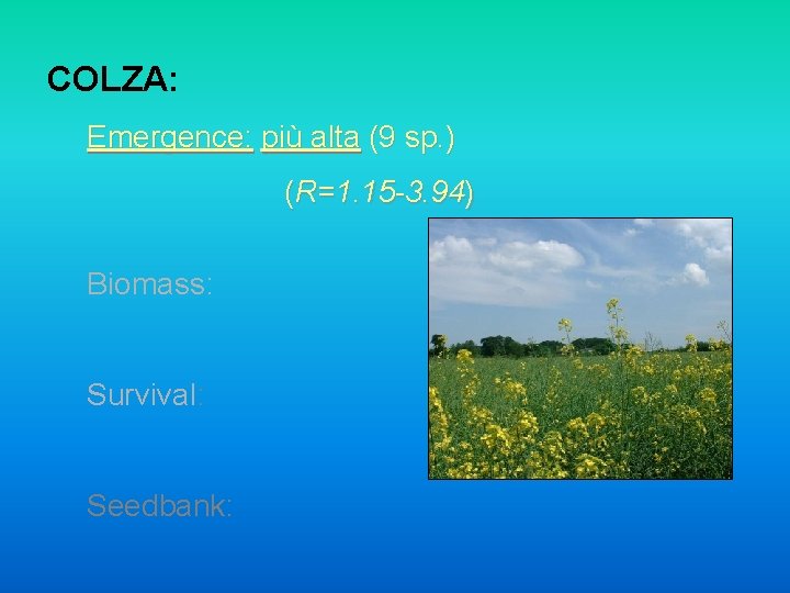 COLZA: Emergence: più alta (9 sp. ) (R=1. 15 -3. 94) Biomass: Survival: Seedbank: