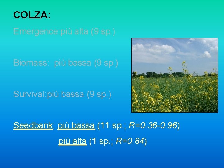 COLZA: Emergence: più alta (9 sp. ) Biomass: più bassa (9 sp. ) Survival: