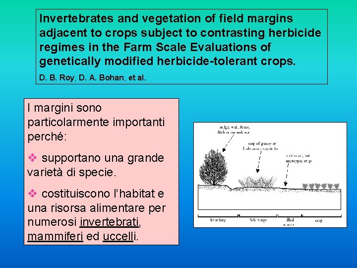 Invertebrates and vegetation of field margins adjacent to crops subject to contrasting herbicide regimes