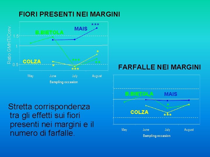 Ratio GMHT/Conv. FIORI PRESENTI NEI MARGINI 1. 5 B. BIETOLA MAIS *** 1 *