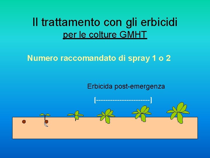 Il trattamento con gli erbicidi per le colture GMHT Numero raccomandato di spray 1