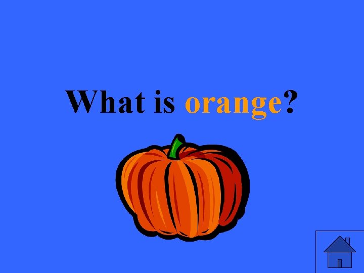 What is orange? 