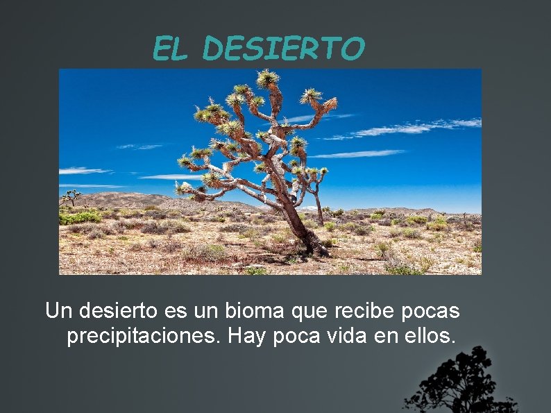EL DESIERTO Un desierto es un bioma que recibe pocas precipitaciones. Hay poca vida