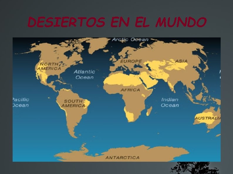 DESIERTOS EN EL MUNDO 