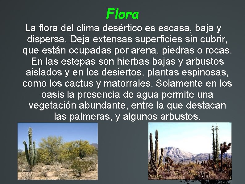 Flora La flora del clima desértico es escasa, baja y dispersa. Deja extensas superficies