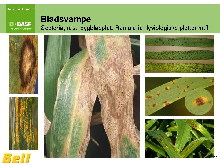 Agricultural Products Bladsvampe Septoria, rust, bygbladplet, Ramularia, fysiologiske pletter m. fl. 11 