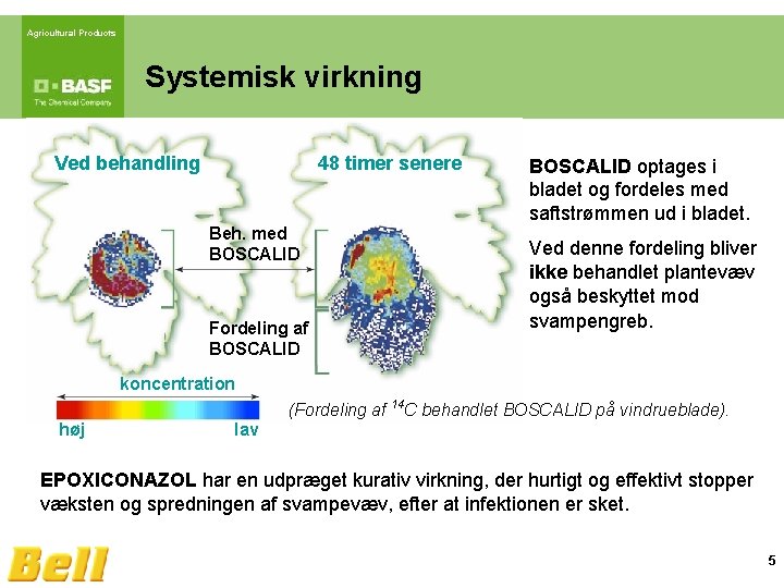 Agricultural Products Systemisk virkning Ved behandling 48 timer senere Beh. med BOSCALID Fordeling af