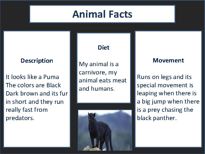 Animal Facts Diet Description It looks like a Puma The colors are Black Dark