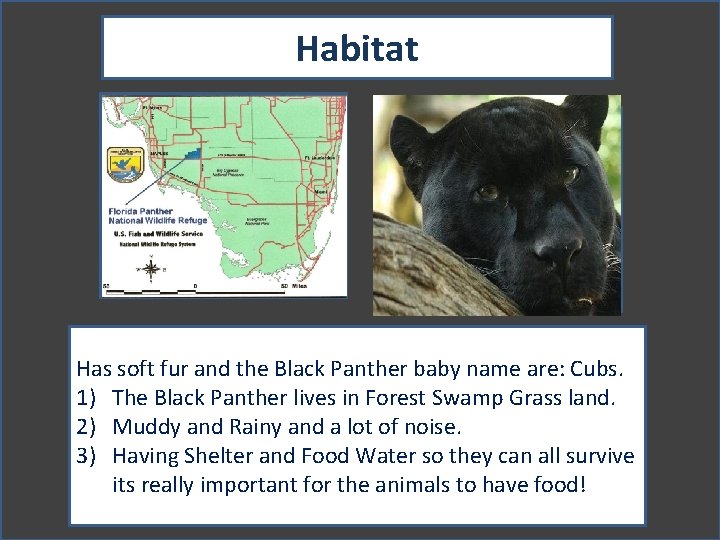 Habitat Map showing where your animal lives Picture showing your animal in its habitat.