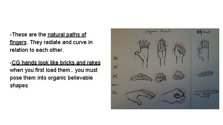 -These are the natural paths of fingers. They radiate and curve in relation to