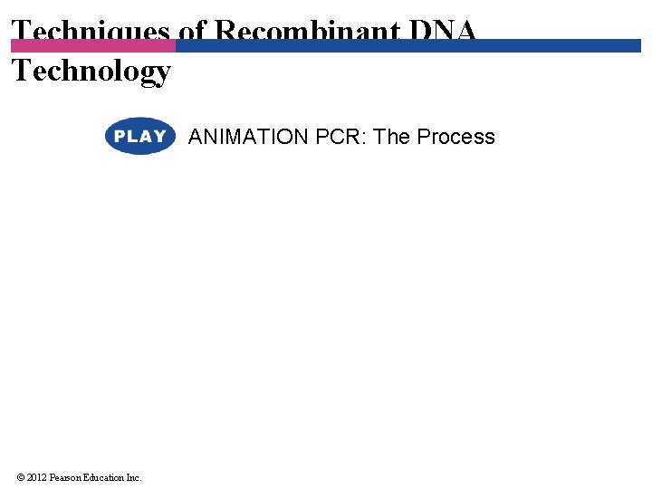 Techniques of Recombinant DNA Technology ANIMATION PCR: The Process © 2012 Pearson Education Inc.