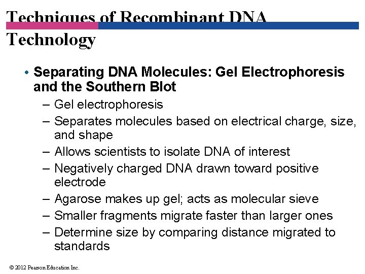 Techniques of Recombinant DNA Technology • Separating DNA Molecules: Gel Electrophoresis and the Southern