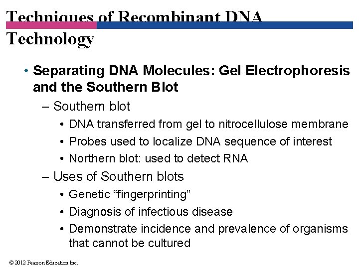 Techniques of Recombinant DNA Technology • Separating DNA Molecules: Gel Electrophoresis and the Southern