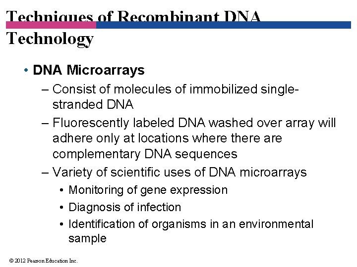 Techniques of Recombinant DNA Technology • DNA Microarrays – Consist of molecules of immobilized