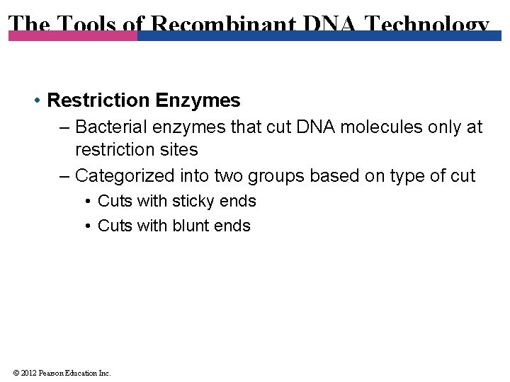 The Tools of Recombinant DNA Technology • Restriction Enzymes – Bacterial enzymes that cut
