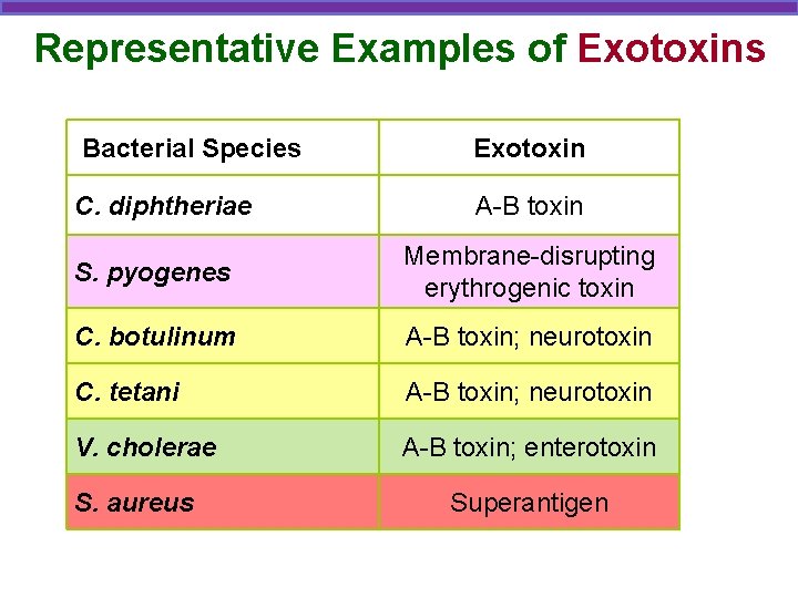 Representative Examples of Exotoxins Bacterial Species Exotoxin C. diphtheriae A-B toxin S. pyogenes Membrane-disrupting