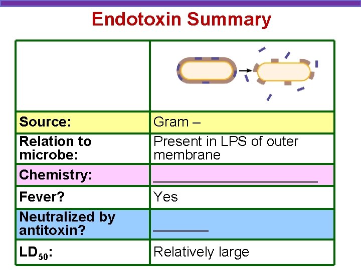 Endotoxin Summary Source: Relation to microbe: Chemistry: Gram – Present in LPS of outer