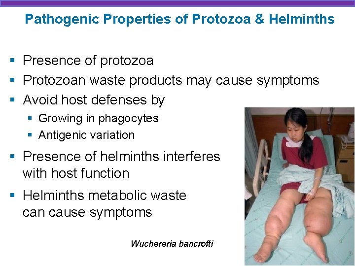 Pathogenic Properties of Protozoa & Helminths § Presence of protozoa § Protozoan waste products