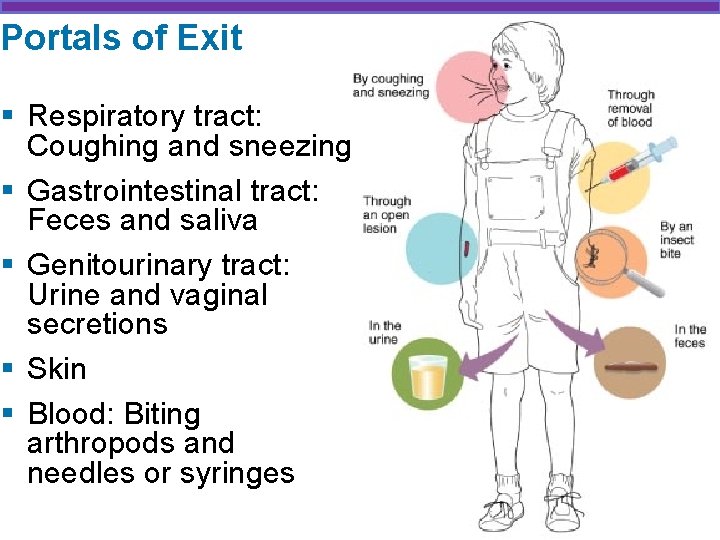 Portals of Exit § Respiratory tract: Coughing and sneezing § Gastrointestinal tract: Feces and