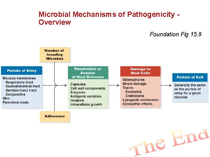 Microbial Mechanisms of Pathogenicity Overview Foundation Fig 15. 9 